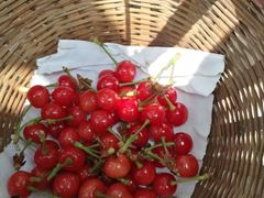 -崂山风景区-大河东游客中心