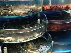 水产区-同道蒸汽海鲜烧烤自助(刘庄夜市店)