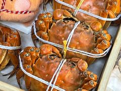 -黄记大闸蟹专卖店·活蟹·醉蟹