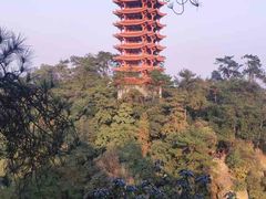 -缙云山景区