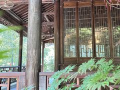 -树山生态村