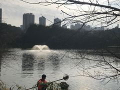 -重庆彩云湖湿地公园
