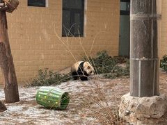 -石家庄市动物园