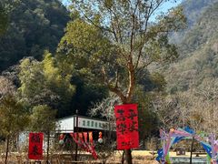 -龙湾潭国家森林公园