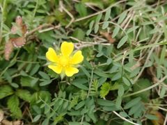 -味好美土菜(迎宾东路店)