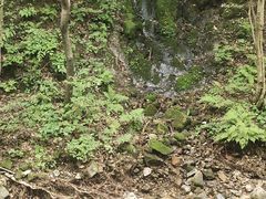 -本溪汤沟绿石谷森林公园