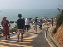 -广东惠东海龟国家级自然保护区