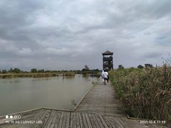 -盐城丹顶鹤湿地生态旅游区