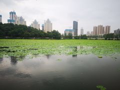 -月湖风景区