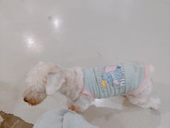 -共舞时光猫咖·狗咖(新街口店)