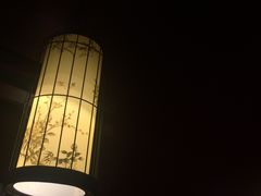 -华馨园北京烤鸭