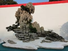 -南山植物园