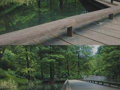 -云溪植物园