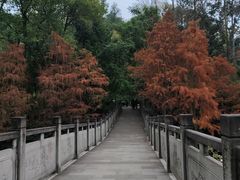 -重庆彩云湖湿地公园