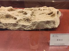 -海合安武汉极地海洋公园