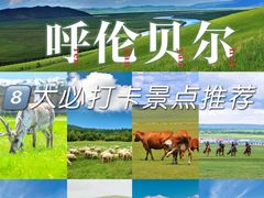 -呼伦贝尔大草原