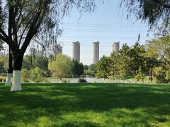 -九里河湿地公园
