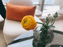 -JNK皮肤管理中心