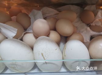 外婆攒的草鸡蛋全被我带来了