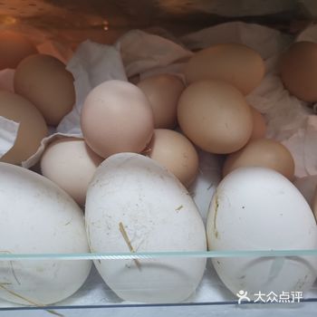 外婆攒的草鸡蛋全被我带来了