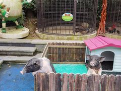 -上海崇明金茂凯悦酒店