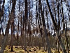 -硗碛藏寨·神木垒景区