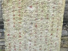 -上海佘山国家森林公园天马山园