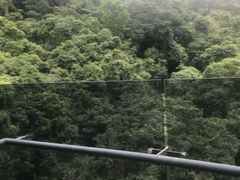 -台北北投丽禧温泉酒店