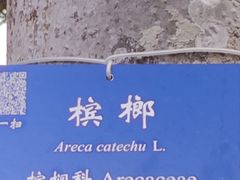-中国科学院西双版纳热带植物园