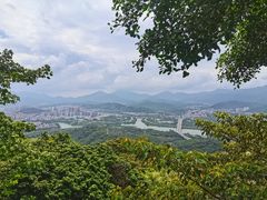 -风云岭森林公园