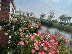 -祝甸砖窑文化馆