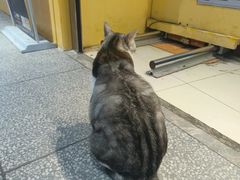 -谜盒子奇幻密室(南屏店)