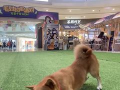 -凯德广场(西城店)