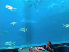 -瑞德姆美人鱼海底演艺主题餐厅(亚龙湾店)