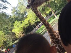 -石家庄市动物园