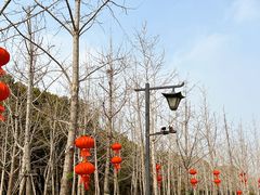 -狼山风景名胜区