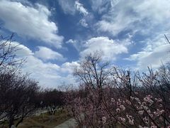 -北京鹫峰国家森林公园