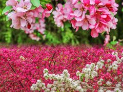 -海棠花溪(元大都城垣遗址公园)