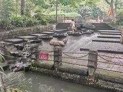 -成都市活水公园