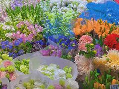 -双季花艺园艺市场(浦东店)