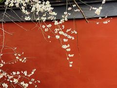 -钱王祠
