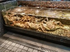 -海鲜e族(马王堆店)