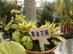 -广东茂名森林公园