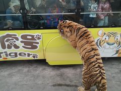 -西安秦岭野生动物园