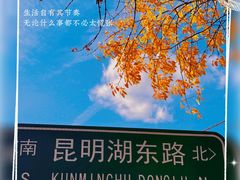 -颐和园