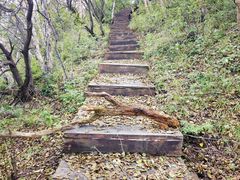 -白草畔自然风景区