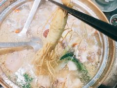 -千岛蚝高压锅生蚝·人参火锅(白云万达店)