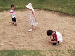 -碧海金沙