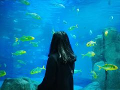 -福州罗源湾海洋世界旅游区