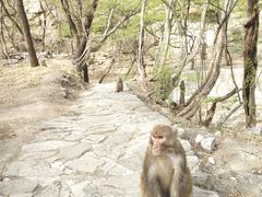 -北京上方山国家森林公园